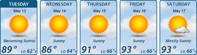 5-Day Forecast