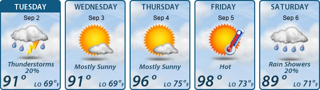 5-Day Forecast