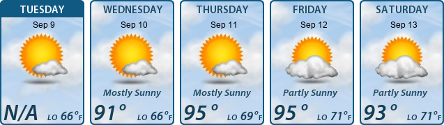 5-Day Forecast