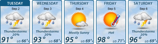 5-Day Forecast
